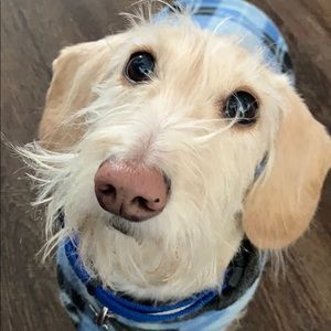 Meet your Posher, Barbara